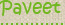 paveet_h1